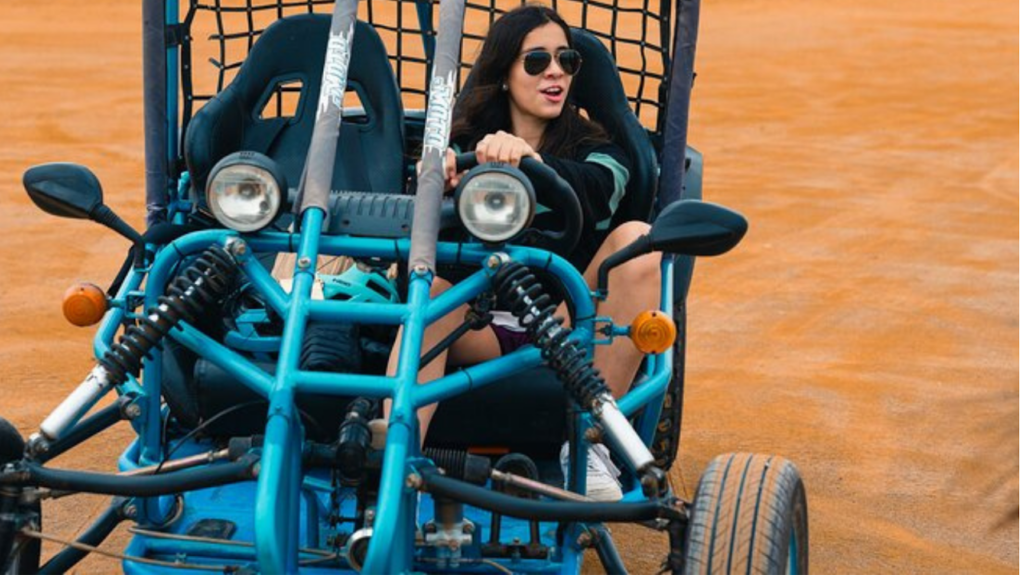 Tour Reserva Nacional de Paracas en Mini Buggy