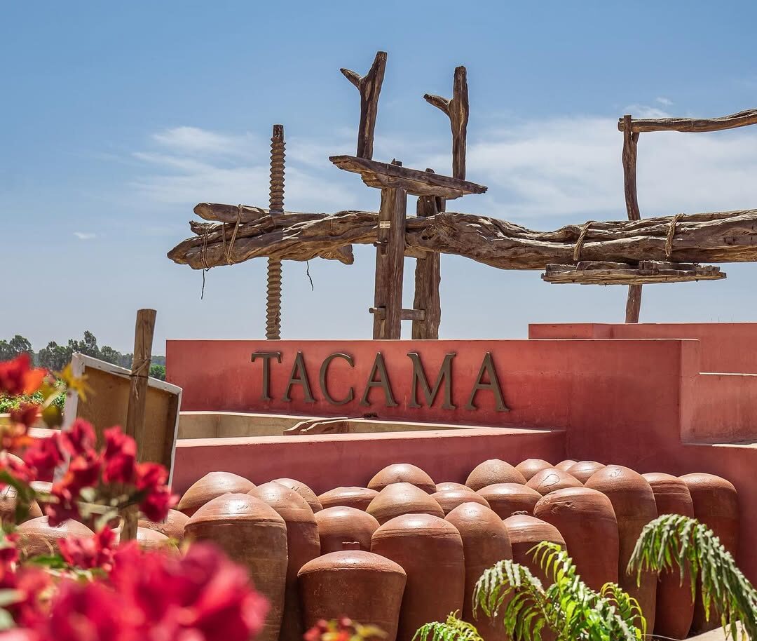 WhatsApp Image 2026 03 06 At 3.54.58 PM 1 E1772830567428