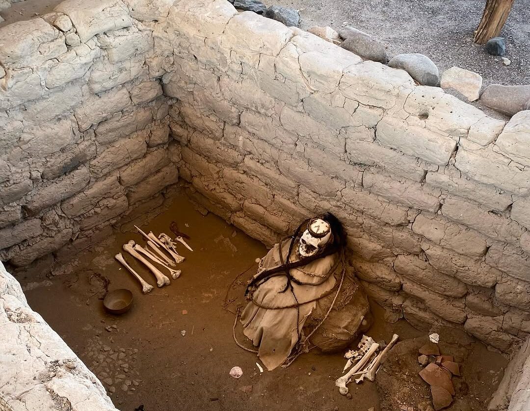 WhatsApp Image 2026 03 11 At 5.09.25 PM E1773267101756